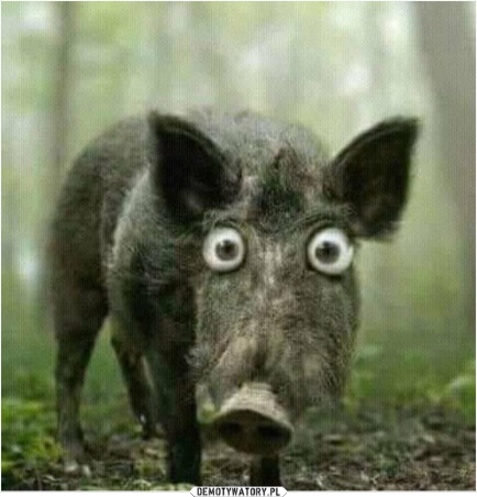 Dziki Zachód Dziki Zachód